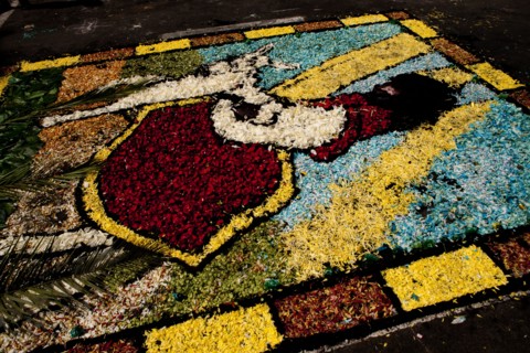 Holy Week Surco Flower Carpet, Lima, Peru, 2015.