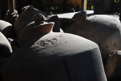Tacama, Ica, Peru, 2015.