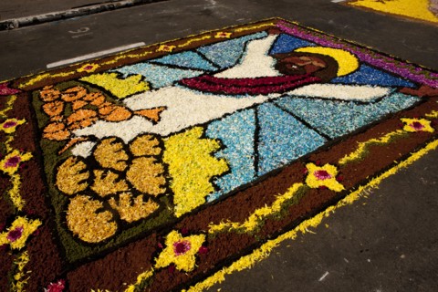 Holy Week Surco Flower Carpet, Lima, Peru, 2015.