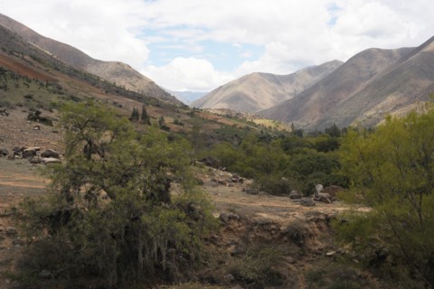 Kotosh, Huanuco, Peru, 2015.
