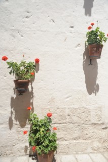 Santa Catalina Monastery, 2015.