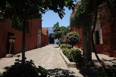 Santa Catalina Monastery, 2015.