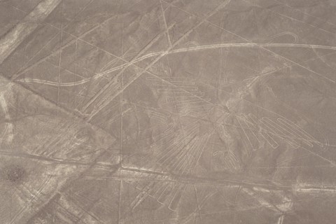 The Condor, Nazca Lines, Ica, Peru,  2015.