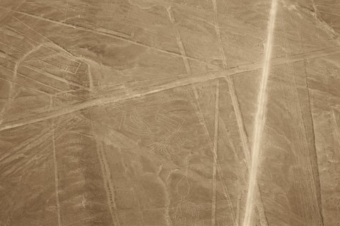 The Condor, Nazca Lines, Ica, Peru, 2015.