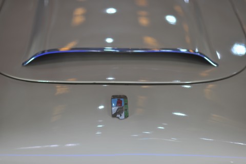 Peron's Car, Coche Justicialista, 2015.