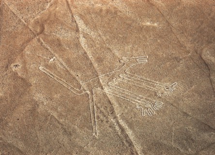The Dog, Nazca Lines, Ica, Peru, 2015.