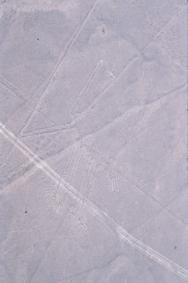 The Dog, Nazca Lines, Ica, Peru, 2015.