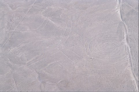 The Monkey, Nazca Lines, Ica, Peru, 2015.