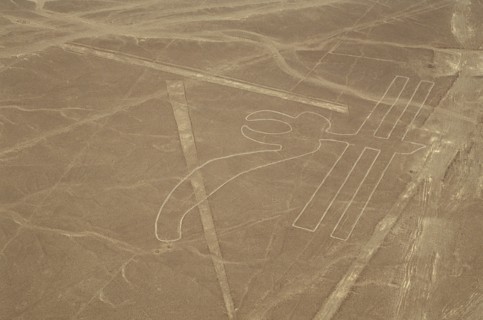 The Parrot, Nazca Lines, Ica, Peru, 2015.