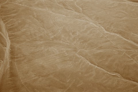 The Monkey, Nazca Lines, Ica, Peru, 2015.