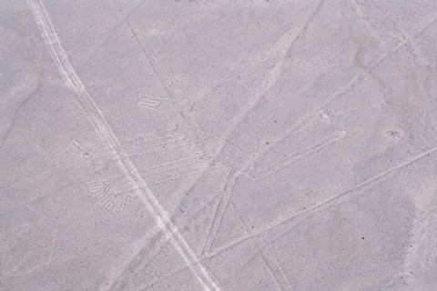 The Dog, Nazca Lines, Ica, Peru, 2015.