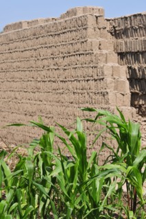 Huaca Pucllana Miraflores, Lima, Peru, 2015.