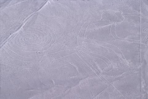 The Monkey, Nazca Lines, Ica, Peru, 2015.