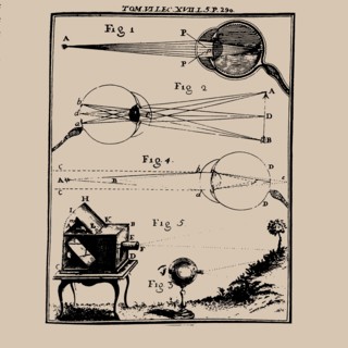 Comparative depiction of the human eye and the camera obscura, 18th century.