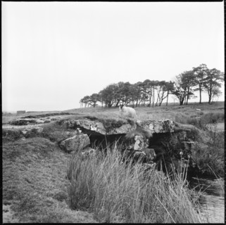 Powder Mills Clapper Bridge, Dartmoor, Devon, 1967