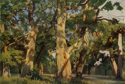 Oak Trees at Eventide', 1887, (1965).