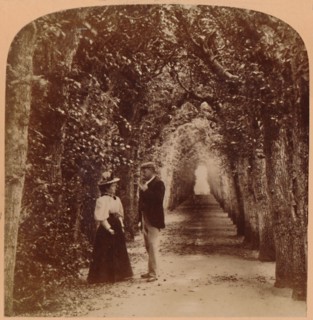 Queen Mary's Bower, Hampton Court, London, England', 1896.