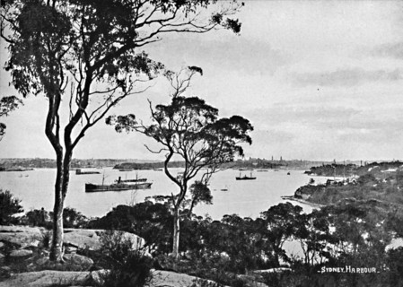 Sydney Harbour, from Cremorne Point, c1900.
