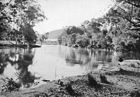 Evening Shadows, National Park, c1900.