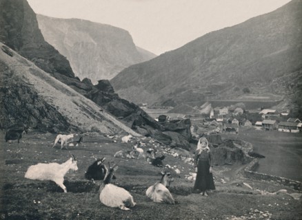 Flaam', 1914.