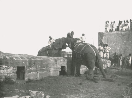 An elephant fight, Hyderabad, India, 1895.