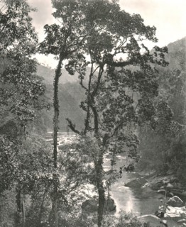 View of the Kelani River, Kurunegala, Ceylon, 1895.