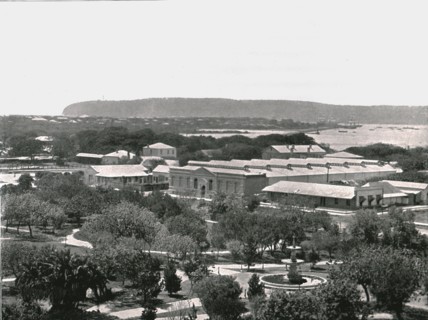 View from the Town Hall, Durban, South Africa, 1895.