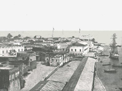 General view of the capital, Zanzibar, 1895.
