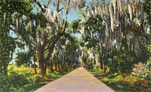An Alluring Highway Scene in the Carolinas', 1942.