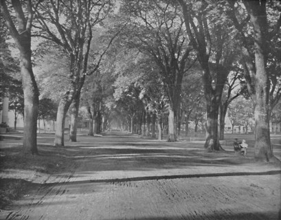 The Elms," New Haven, Conn.', c1897.