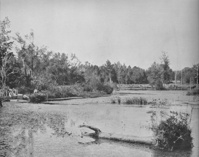 Scene in Mississippi', c1897.