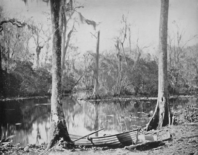 A Feeder of the St. John's River, Florida', c1897.