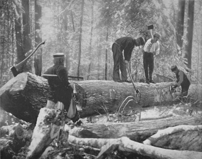 Lumbering on the Ottawa River, Canada', c1897.