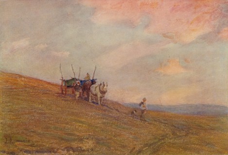On the Downs Near Harting', c1870-1906, (1906).