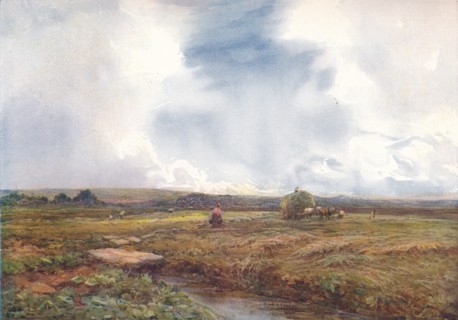 The Hayfield', 1872-1906, (1906).
