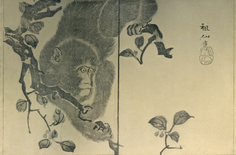 Monkey, 1815, (1924).