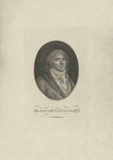 Portrait of François Levaillant (1753-1824) , 1801.