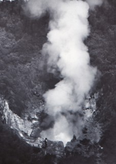Great Wairakei Geyser', late 19th-early 20th century.