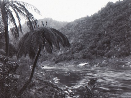 Wanganui River', late 19th-early 20th century.