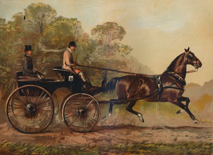 Single Harness Phaeton Horse "Columbine". Property of Charles Baynes Esq., 1872', c1879