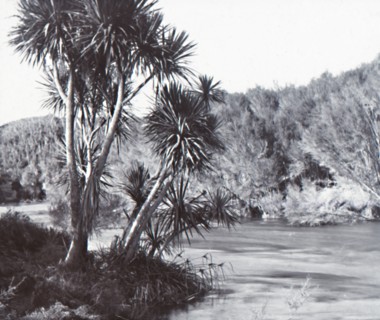 Te Waihou River, Okoroire, late 19th-early 20th century.