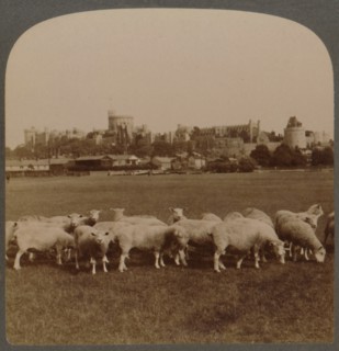 General View Windsor Castle, England', 1896