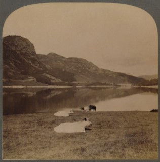 'Thirlmere, a lake reservoir, the water-supply of Manchester (96 miles distant, Lake District, Eng.) Creator