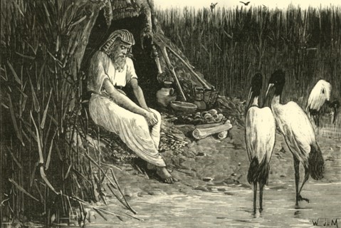 Anysis Concealed in the Marshes of the Delta', 1890.