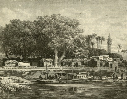 View on the Delta of the Nile', 1890.