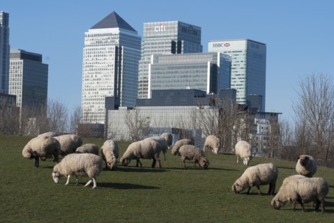 Docklands and Canary Wharf, London, England, UK, 2/3/10.