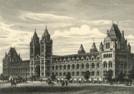 'The Natural History Museum, South Kensington'