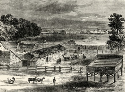 'The Place of Execution, Tyburn
