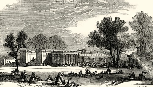 'Houses of the Carnivora', c1876