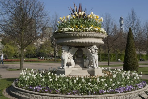 Regent's Park - Springtime floral displays in Regent's Park, London